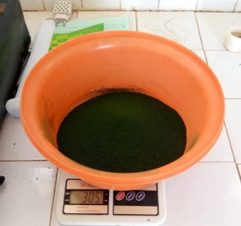 Spiruline séché Spiruline séché